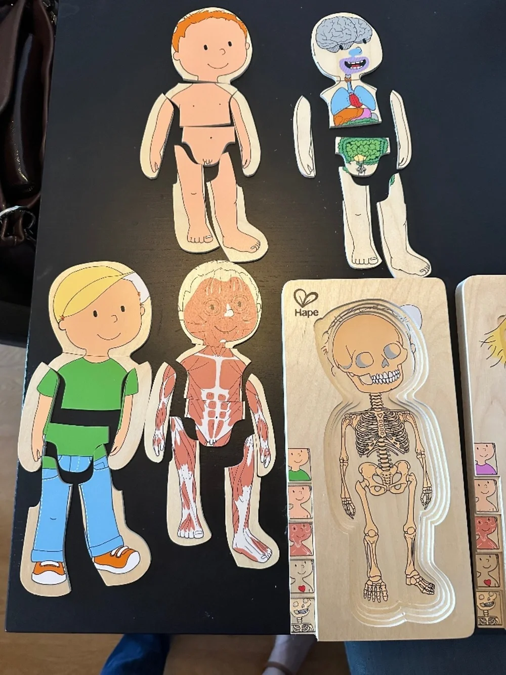 Hape Wooden Layered Anatomy Puzzles Boy & Girl Set of 2